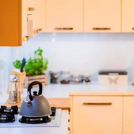 Apartment In With Kitchenette